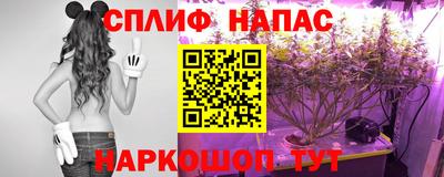 ECSTASY Тверь
