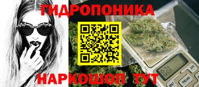 хмурый Тула