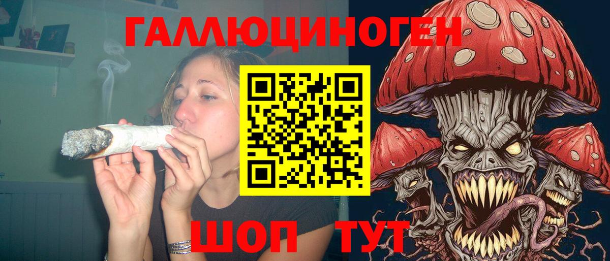 что такое   Галлюциногенные грибы Cubensis  Азнакаево  Вход с VPN  Галлюциногенные грибы GOLDEN TEACHER 